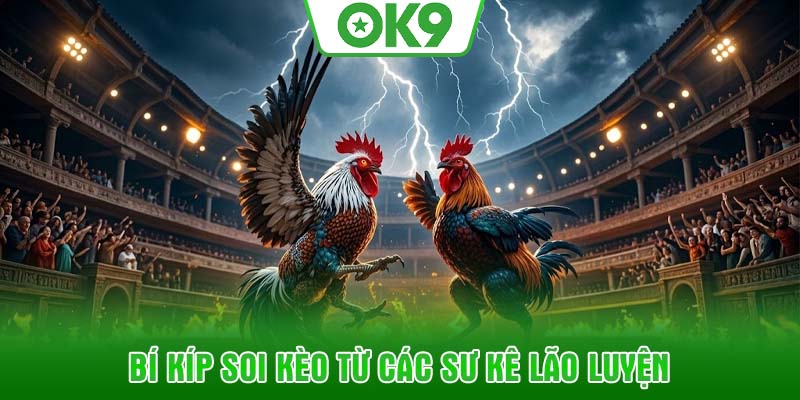 Bí kíp soi kèo từ các sư kê lão luyện