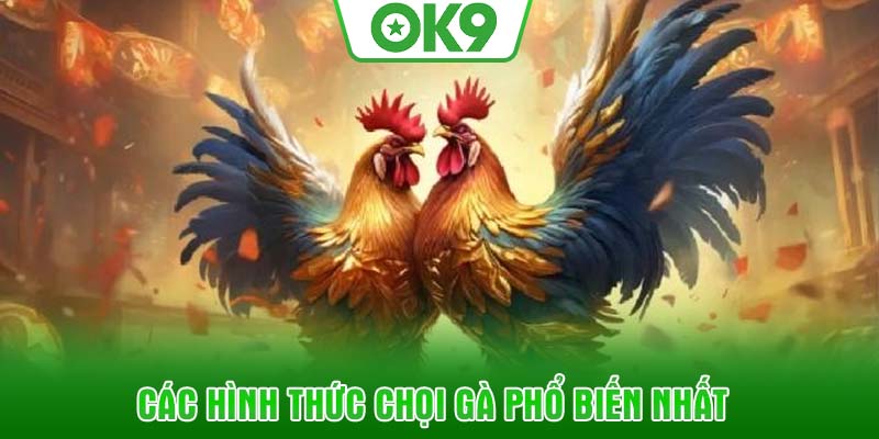 Các hình thức chọi gà phổ biến nhất