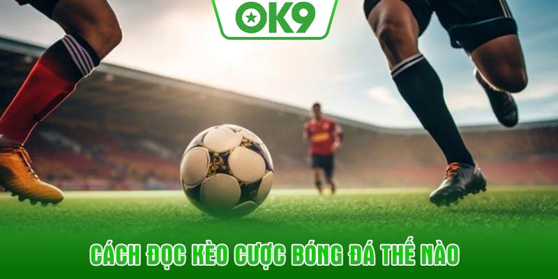 Cách đọc kèo cược bóng đá thế nào