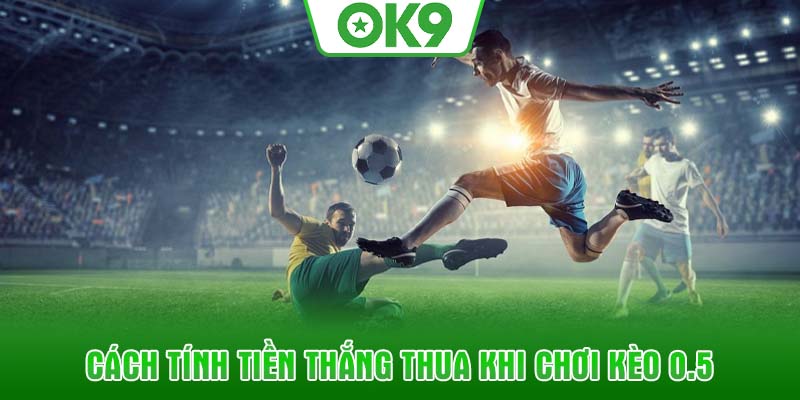 Cách tính tiền thắng thua khi chơi kèo 0.5