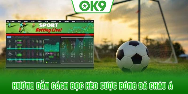 Hướng dẫn cách đọc kèo cược bóng đá châu Á