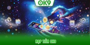 nap-tien-ok9