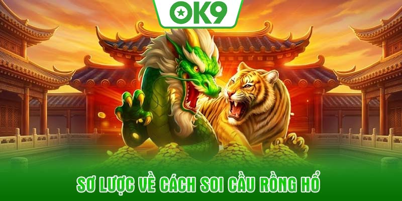 Sơ lược về cách soi cầu rồng hổ