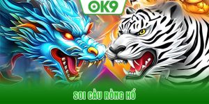 soi-cau-rong-ho